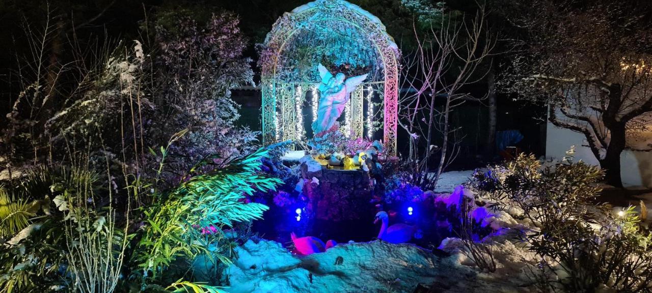 Refugio Madera Estilo Arabe Con Estatuas, Estanques Y Un Pequeno Zoo Hostal Albacete Exterior foto