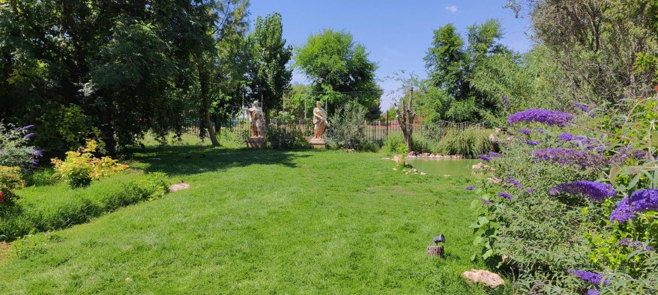 Refugio Madera Estilo Arabe Con Estatuas, Estanques Y Un Pequeno Zoo Hostal Albacete Exterior foto