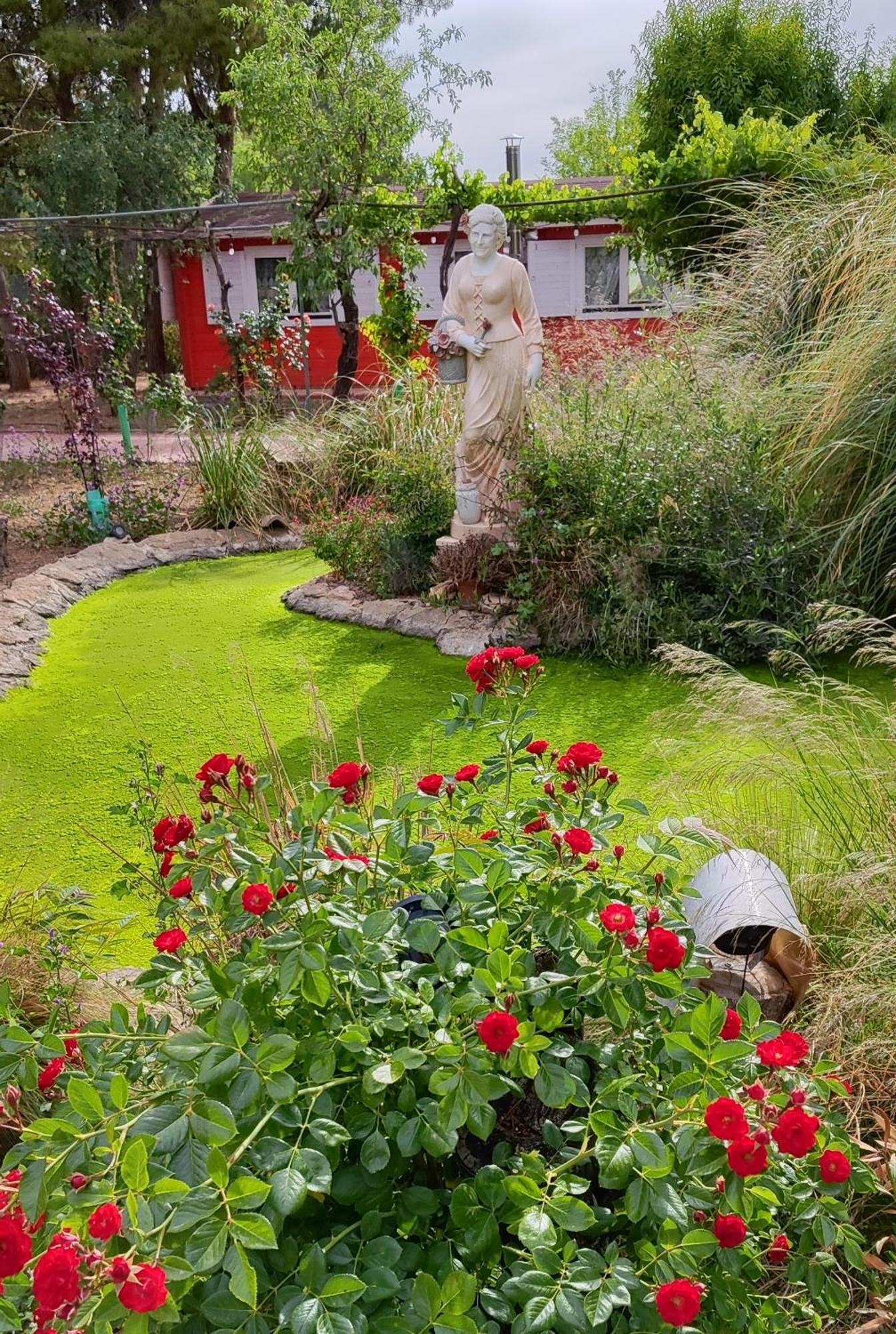 Refugio Madera Estilo Arabe Con Estatuas, Estanques Y Un Pequeno Zoo Hostal Albacete Exterior foto